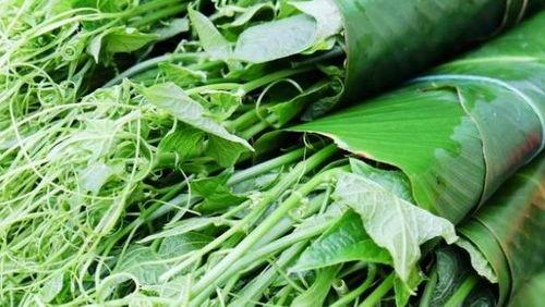 佛手瓜中间烂了可以吃吗,佛手瓜中间烂了还能食用吗?揭秘食用安全与处理方法