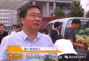 吃瓜村干部,揭秘农村基层治理中的“另类”现象