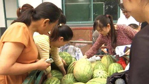吃瓜村干部,揭秘农村基层治理中的“另类”现象