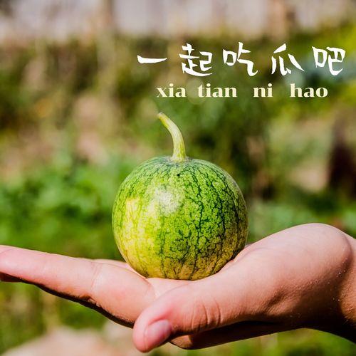 吃瓜也要专业,揭秘娱乐圈幕后真相,专业解读娱乐八卦