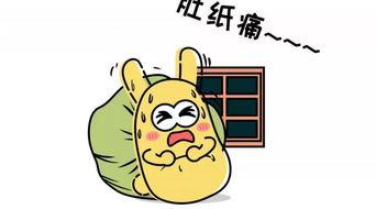 吃瓜群众下跪,一场意外的网络狂欢
