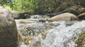 小溪里吃瓜,夏日清凉好时光