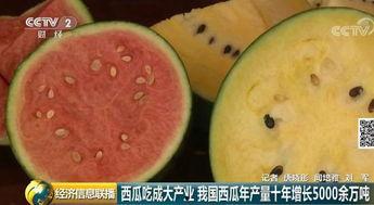 中国哪里有吃瓜,中国各地特色“吃瓜”文化大赏