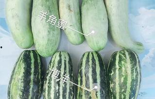揭阳网红吃瓜,揭秘网络热点的背后真相