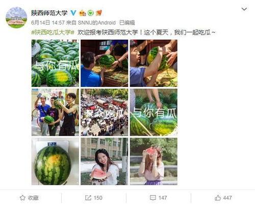 高校吃瓜资源,揭秘校园热点事件背后的真相