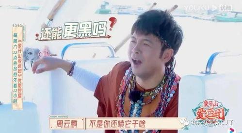 宝哥也吃瓜