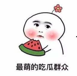 在线吃瓜好快乐