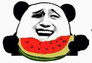 直率的吃瓜群众,直率吃瓜群众视角下的娱乐圈风云