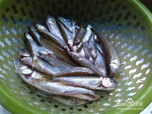 小鱼鱼吃瓜,揭秘娱乐圈那些不为人知的幕后故事